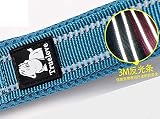 Truelove TRUE LOVE Dog Leash Padded Reflective 110cm Blue M TLL2111 view 6