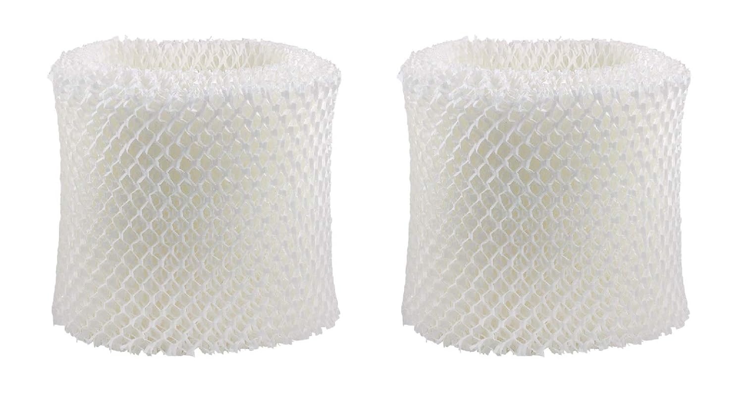 Best Replacement Holmes Hwf64 Filter B Holmes Sunbeam Bionaire