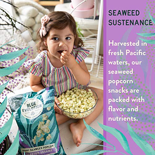 Blue Evolution, Organic Seaweed Popcorn, Fresh Popped Popcorn Snack