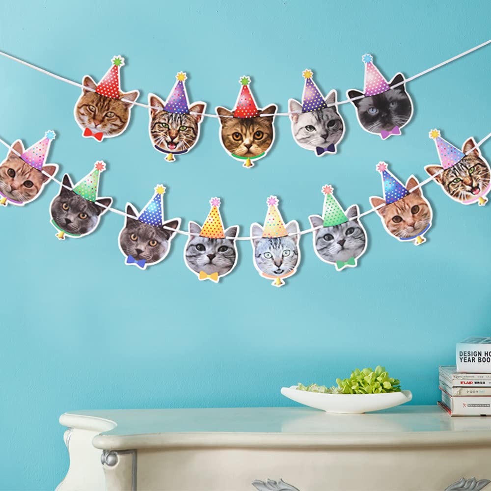 Birthday Banner Cat Face Hanging Bunting Birthday Sign for Party Princess Decorations (Small)