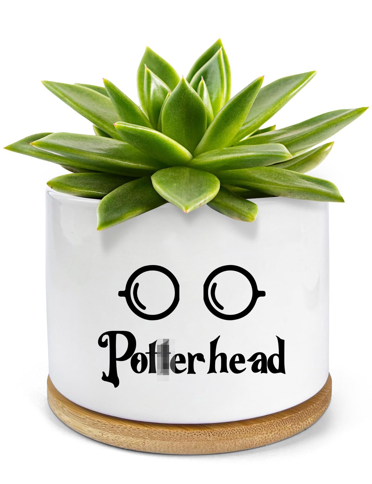 PWHINGN Funny Ceramic Succulent Planter Pots with Drainage Bamboo Tray ...
