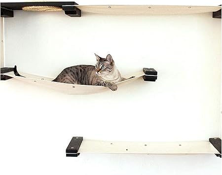 Amazon Co Jp 壁に取り付けられた迷路猫ツリーハウスタワーペット家具 未完成 Pet Supplies