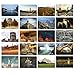 BEST PAPER GREETINGS Travel Themed Mailing Postcard Set - 40-Pack, 4 x 6 in - National Park Postcards & Landmark Cards