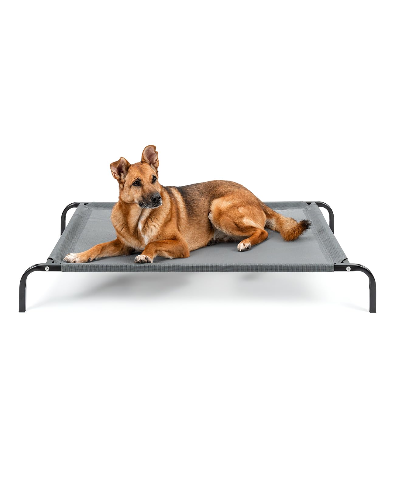 dibea Dog Bed/Dog Lounger, Textilene Material
