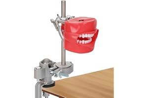 Typodont Teeth Model Mount Pole (Includes typodont teeth model), Desktop Fixed 360°