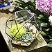 NCYP 8 inches Glass Geometric Dome Terrarium, Triangular Pentagon 32-Sides Indoor Succulent Air Plants Terrarium, Balcony Miniature Decor Centerpiece, No Plants Included