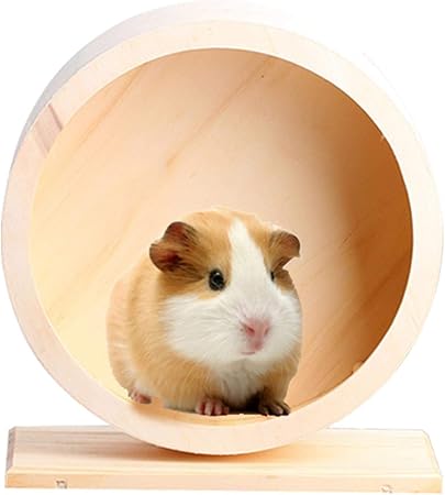 mice hamster
