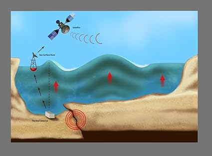 Amazon Com Tsunami Warning Diagram Poster Print By Gwen