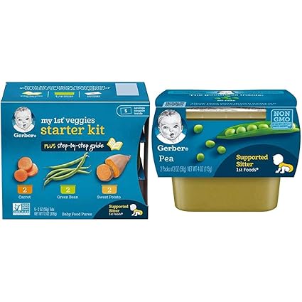 gerber 1st foods pureed baby food