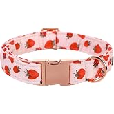 Lionet Paws Dog Collar, Comfortable Adjustable Cute Collar with Metal Buckle for Male Female Dogs, Strawberry Pattern, Small, Neck 10-16 inches