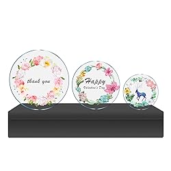 2 Pieces 1/4" Round Plexiglass Sheet, 8 Inch