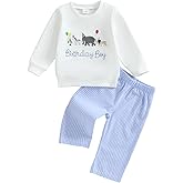 Vicaankue Toddler Baby Boy Birthday Clothes Zoo Animal Birthday Boy Crewneck Sweatshirt and Plaid Pants Set 2Pcs Fall Outfit