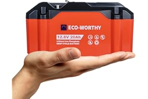 ECO-WORTHY Portable 12V Lithium Battery, 12.8V 20Ah Lithium Iron Phosphate DEEP CYCLE BATTERY, Built-in BMS, 4000+ Cycles, Perfect for Outdoor Camping Fishing RV Marine Trolling Motor Fishfinder
