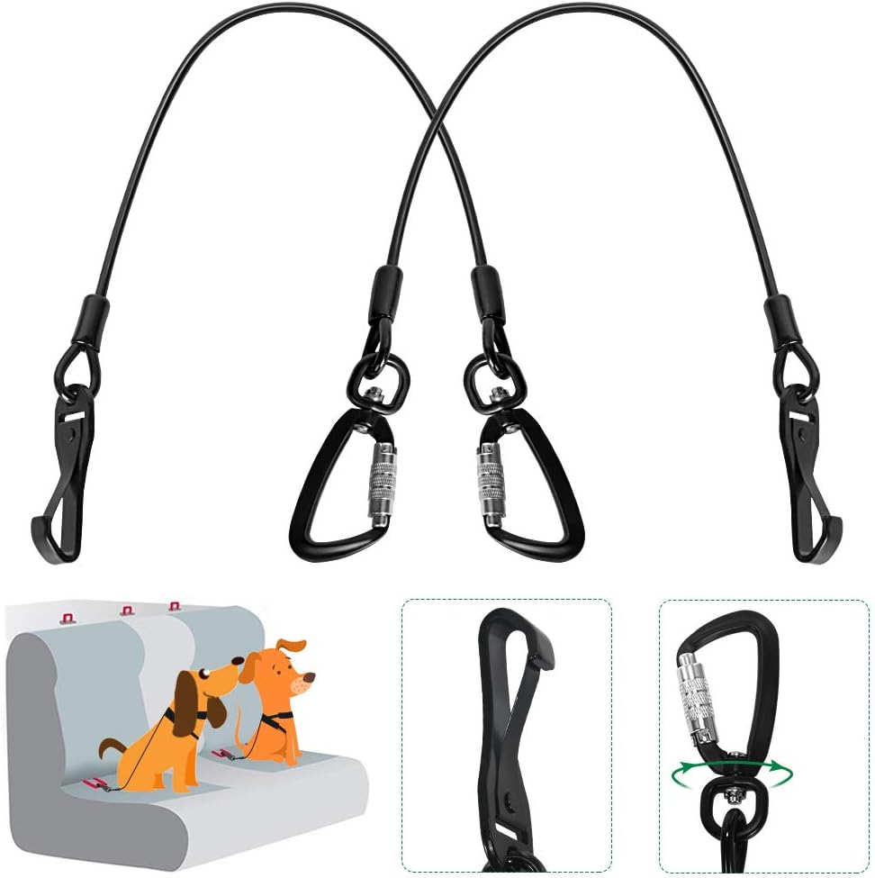 vitamin c for dogs uti