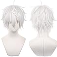 Anime Cosplay wig Cos Wigs White Heat Resistant Synthetic Hair For Man Women Halloween Party with Cap