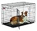 MidWest Homes for Pets Life Stages ACE Double Door Dog Crate, 36-Inch