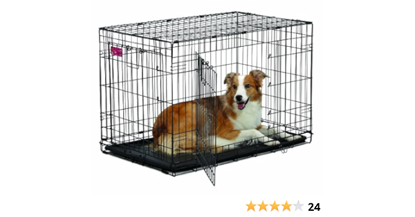 ace dog crate