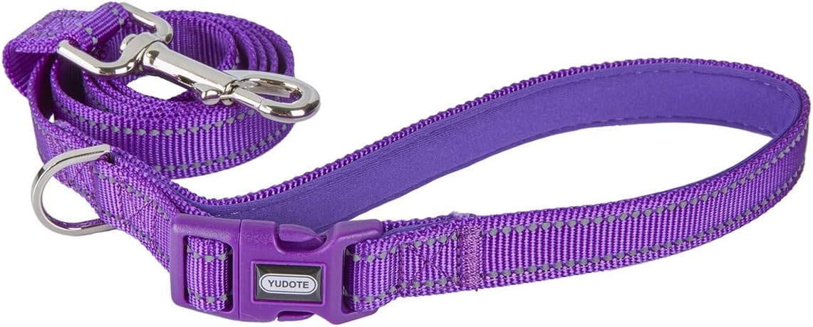 YUDOTE Reflective Dog Leash 4 Ft with Soft Padded and Buckle Handle, Nylon Heavy Duty Durable Dog Leashes for Medium Large Dogs,Purple