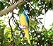 S&F Life Size Hanging Parrot Statue Like a Real Parrot Patio Lawn Ideal Decor for Nature Lovers Tropical Bird Collectors Summer Theme (Blue)