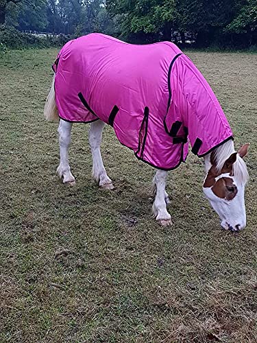 Cwell Equine Bug Away Horse fly rug combo attached neck cover PINK (6'0")