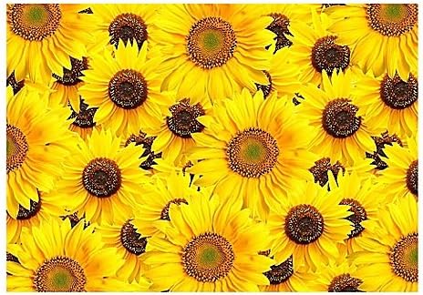 Sunflower Kitchen Mat | 22"X31"