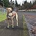 Healers Urban Walkers Dog Boots for Paw Protection, 1-Pair, X-Large, Paw Width 3-7/8