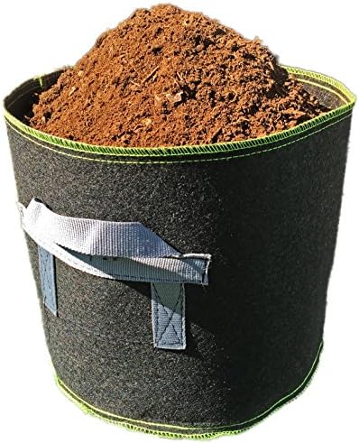 Dirt Bag Grow Bags, 4 Gallon Fabric Container (Pack of 1, Black Green Trim)
