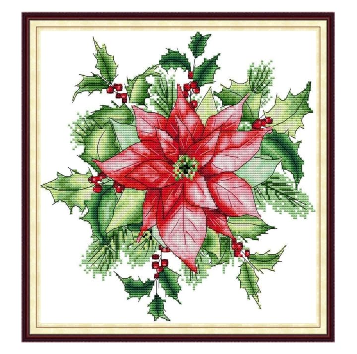 Gofission 14ct Stamped Cross Stitch Kits for Adults Beginners, Poinsettia Christmas Red Flower DIY Pre Printed Cross Stitch Embroidery Set with Accessories Wall Decor 31x32cm