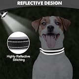 Joytale Reflective Dog Collar Extra Large Neoprene Padded Heavy Duty Buckle view 4
