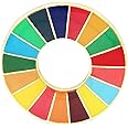 Sustainable Development Goals Brooch,United Nations SDGs Pin Badge,Rainbow Brooch Lapel Pin,Cute Enamel Pin for Backpack Clothing Hat Decoration