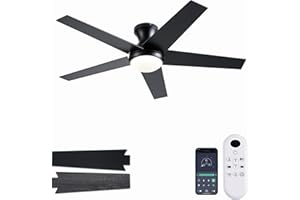 Ayaoty Ceiling Fans with Lights, 48 inch Low Profile Ceiling Fan with Light and Remote Control, Flush Mount, Reversible Motor, Dimmable, Noiseless, Black Ceiling Fan for Bedroom, Indoor/Outdoor Use