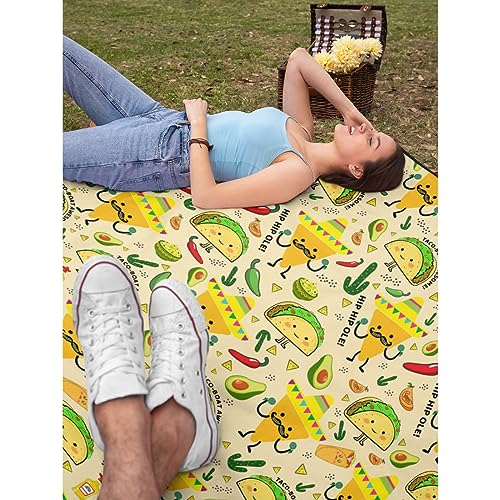 Darani Mexico Taco Lightweight Super Soft Cozy Throw Blanket Warm and Lightweight Soft Flannel Blankets 50x40 Small for Kid Bed Blanket