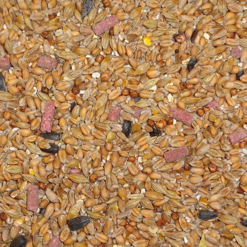 25 kg Dawn Chorus Original Flavour Wild Bird Seed Mix Amazon.co.uk
