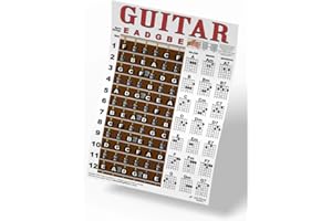 Guitar Chord & Fretboard Note Chart Instructional Easy Poster for Beginners Chords & Notes A New Song Music 11"x17"