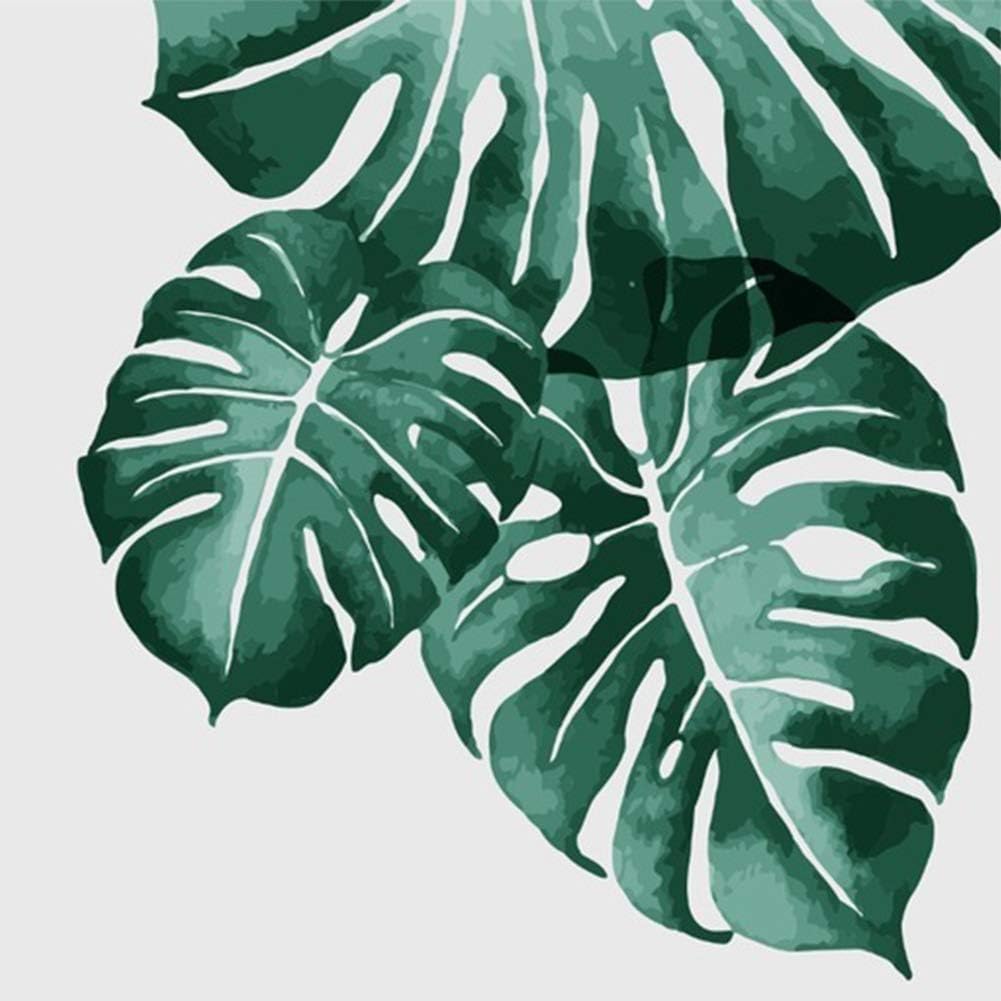Amazon Com Diy Painting By Number Plant Leaf Landscape Paint Canvas Picture Oil Painting Coloring By Numbers Hand Painted Modern 16 X 20 Leaf
