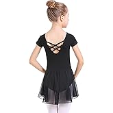 danswan Long Sleeve Ballet Skirted Leotards Dance Dresses Tutu Outfit for Ballerina Toddler Girls