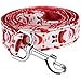 Itery Christmas Cheer Strong Durable Dog Leash Strap for Puppy Pet--6 Feet Long, 1 Inch Wide (Santa Claus)