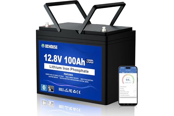 DC HOUSE 12V 100Ah Trolling Motors LiFePO4 Lithium Battery, Bluetooth & Low Temp Protection, Group 24, Up to 15000 Cycles, 10