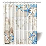 InterestPrint Collage of Summer Seashells Decor Shower Curtain, Seacoast with Sand Colorful Various Seashells and Starfish Tropics Aquatic Wildlife Theme Fabric Bathroom Set with Hooks, 60 X 72 Inches