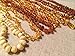 Baltic Amber Teething Necklace for Baby Toddler Multi Rainbow Infant Polished Drooling & Teething Pain Authentic Organic Certified Authentic Screw Clasp