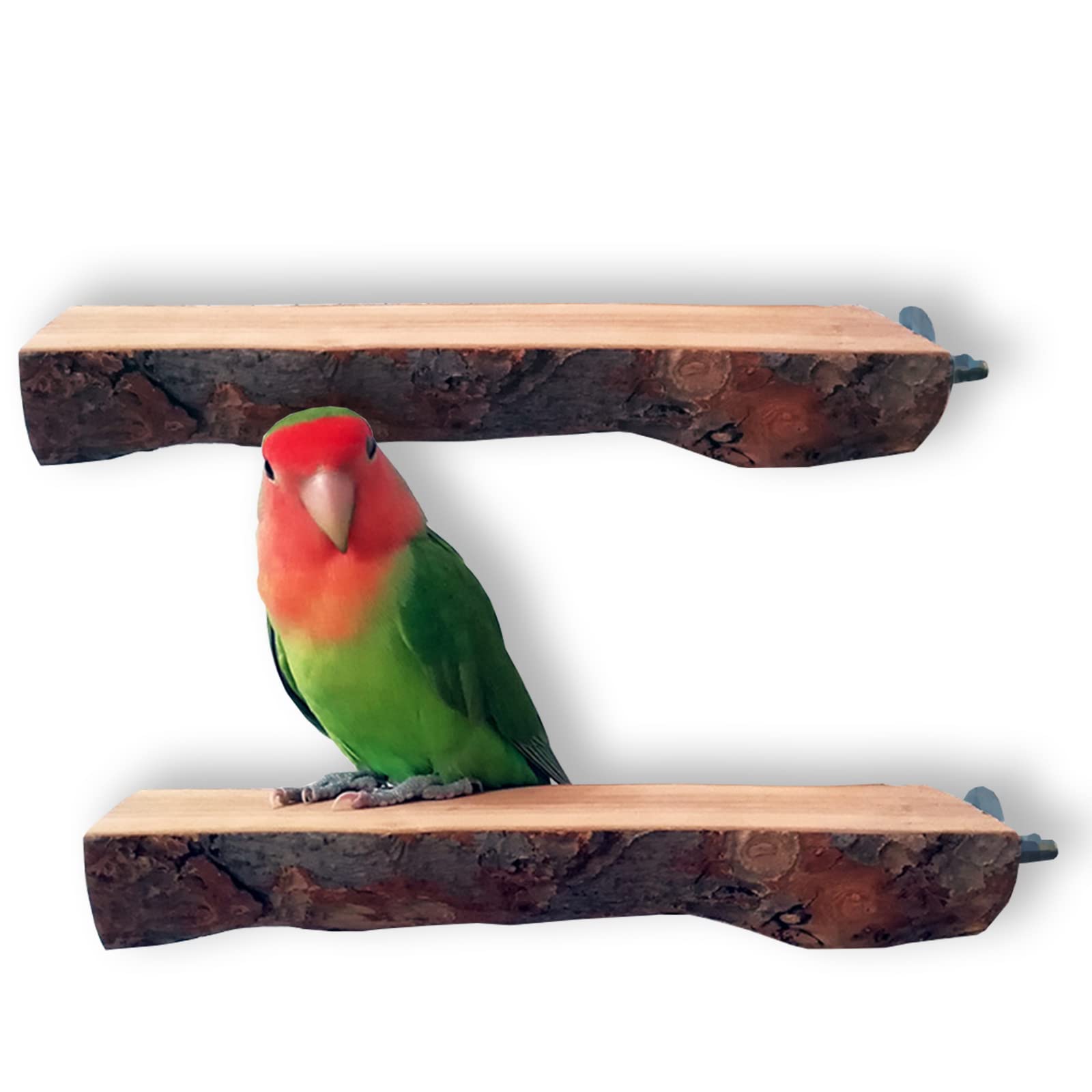 QeeHeng Wood Perch Bird Platform- 2PCS Natural Parrot Perch, Flat Bird Play Stand Parakeet Cage Accessories for Small Medium Lovebird Conures Macaws Exercise Toy