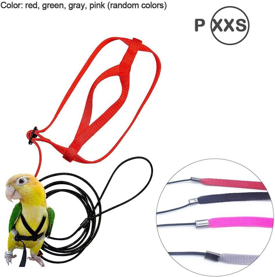Ritapreaty Adjustable Bird Harness and Leash, Flying Anti-bite Traction Rope bird Training Outdoor Carrying for Psittacus Scarlet Macaw Parrots Birds