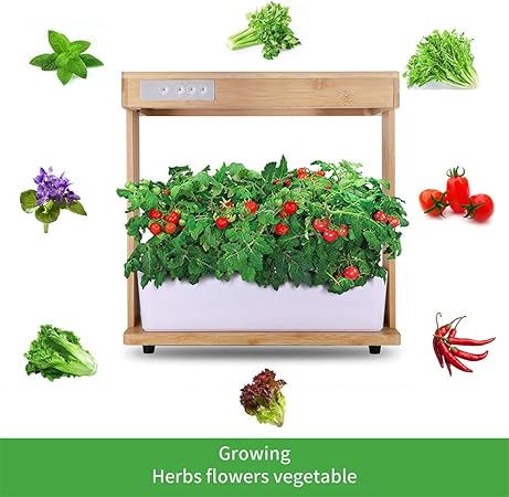 Crzj Led Indoor Herb Garden Hydroponics Growing System Kit Plant Grow Light Hydroponics Indoor Gardening Kit Herb Seed Pod Kit 8 Pot Amazon Co Uk Sports Outdoors