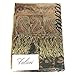 Falari Women's Woven Paisley Pashmina Shawl Wrap Scarf 80