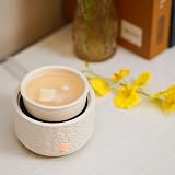 PALANCHY Ceramic 3-in-1 Wax Warmer Electric Fragrance Warmer Gift Box view 2
