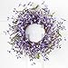 Collections Etc Spring Forsythia Floral Twig Door Wreath - Seasonal Door Accent for Any Room, Lavender