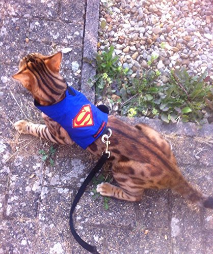 Mynwood Cat Jacket/Harness Superman Adult Cat