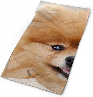 Pomeranian scarf Outlet