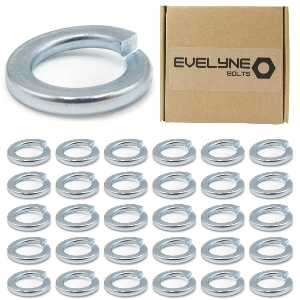 M12 (12mm) Spring Washer Set - Steel - Evelyne (Pack of 30)