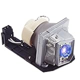 SunnyPro BL-FP230H BL-FP230J Replacement Projector